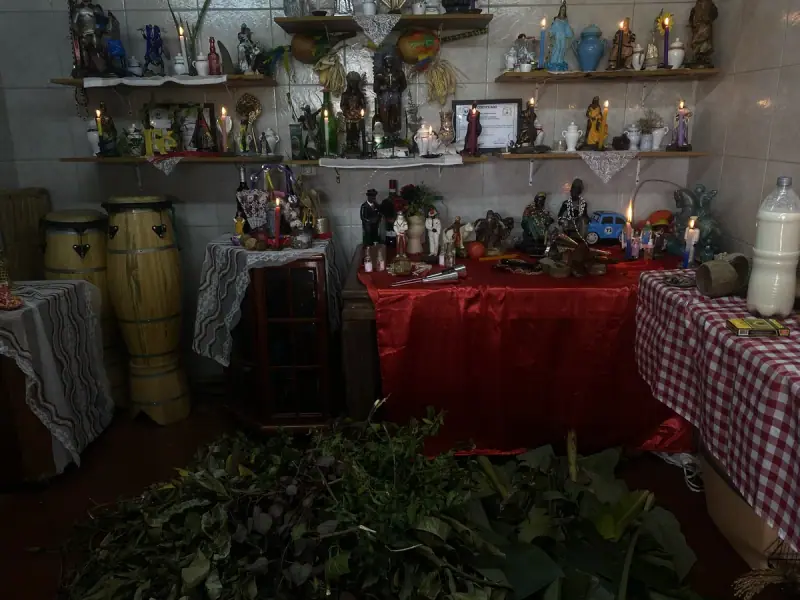Congá com imagens e velas nas prateleiras, dois atabaques, altar de cetim vermelho e ervas no chão